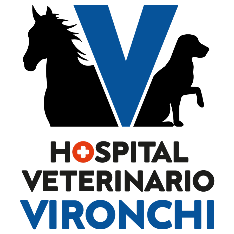 Canvas Logo